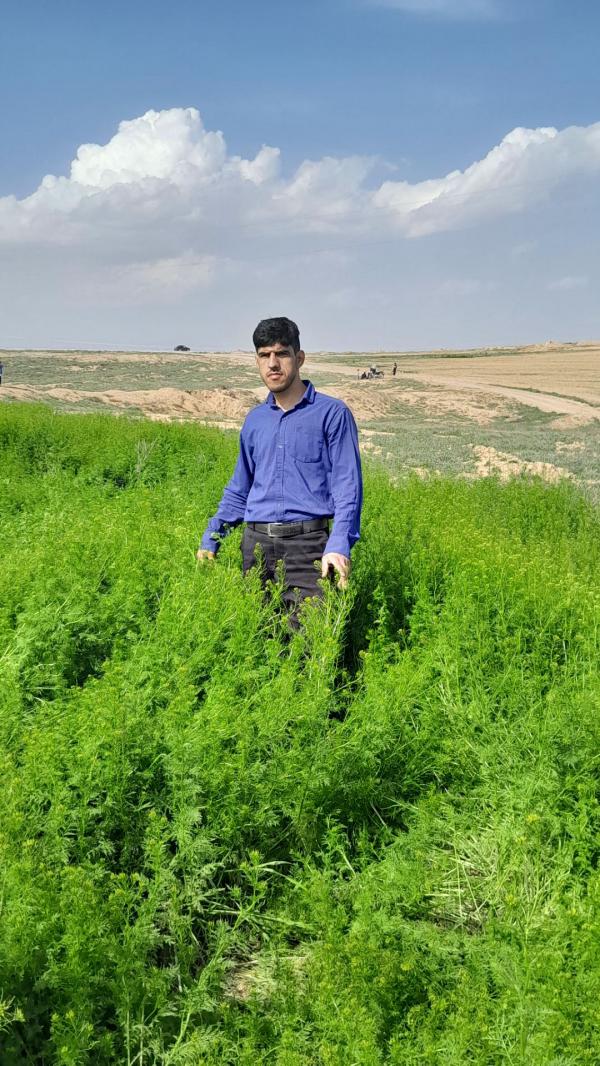 سایت همسریابی آغاز نو پروفایل 9999586825