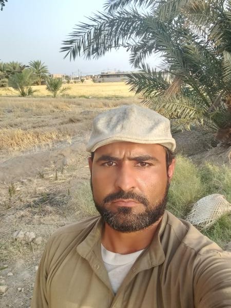 تصویر پروفایل حامد