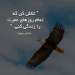 تصویر لینک ساییت همسریابی